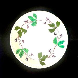 Rare Vintage Blue Ridge Southern Potteries Mountain Ivy (1947) Dinner Plate